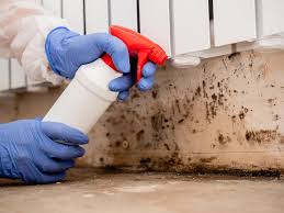 Best Emergency Mold Remediation  in Belle Isle, FL